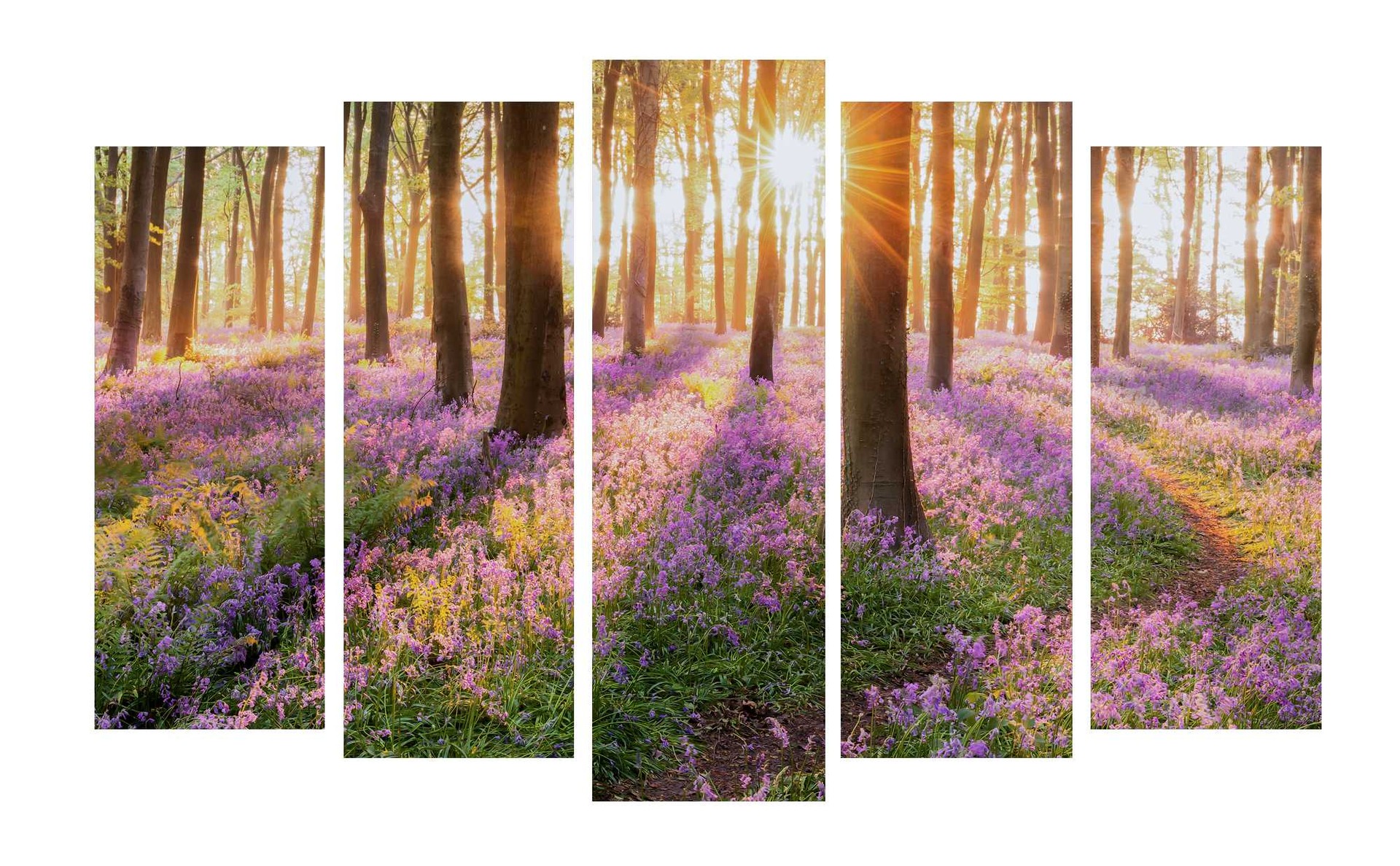 Модульные картины Toplight TL-PM0031