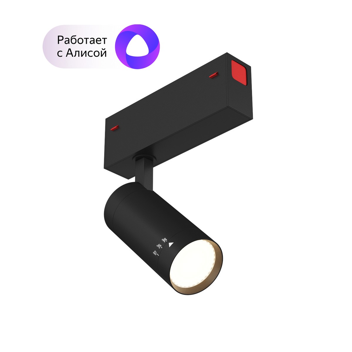 Трековый светильник Denkirs Smart DK8007-BK