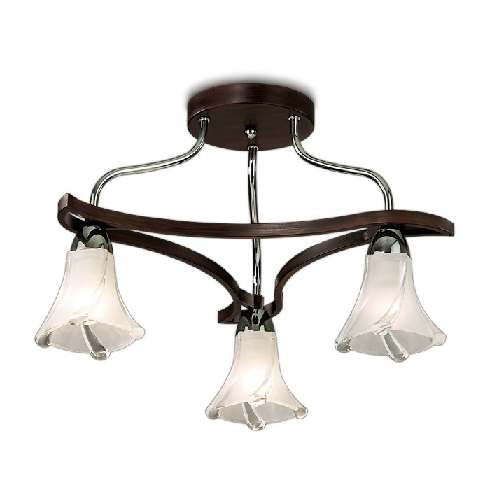 Потолочная люстра Odeon Light Iwo 2237/3C