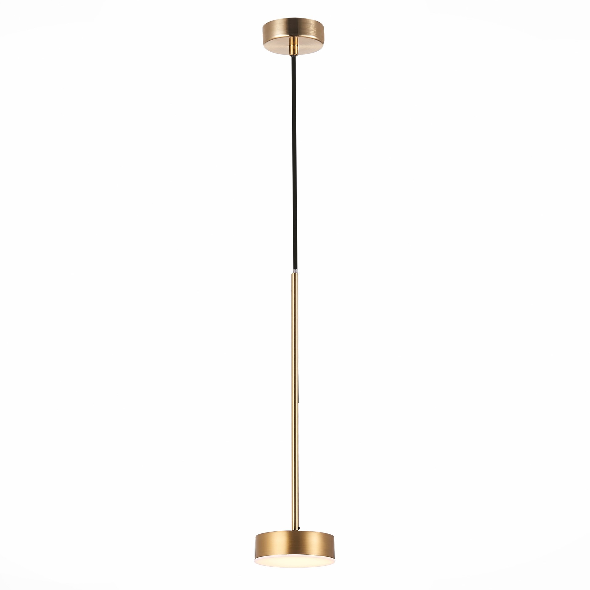 Светильник подвесной ST Luce Pances SL6000.303.01