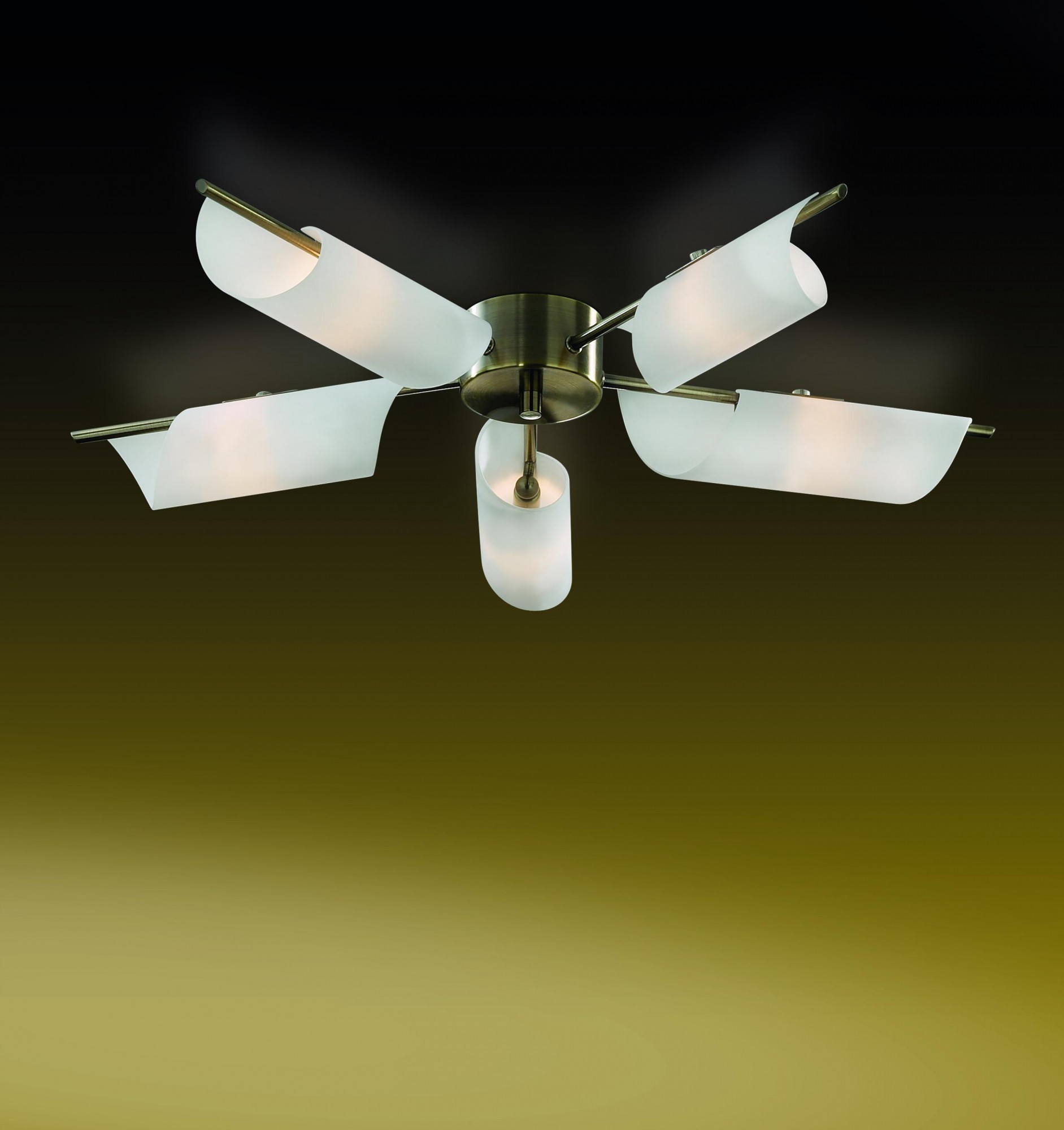 Потолочная люстра Odeon Light Ray 2015/5C