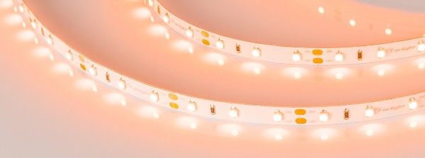 LED лента Arlight RT открытая 013568(2)