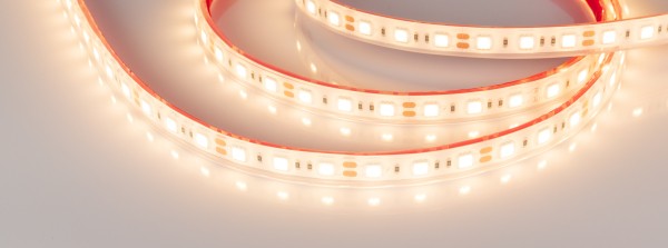 LED лента Arlight RTW герметичная 013587(2)