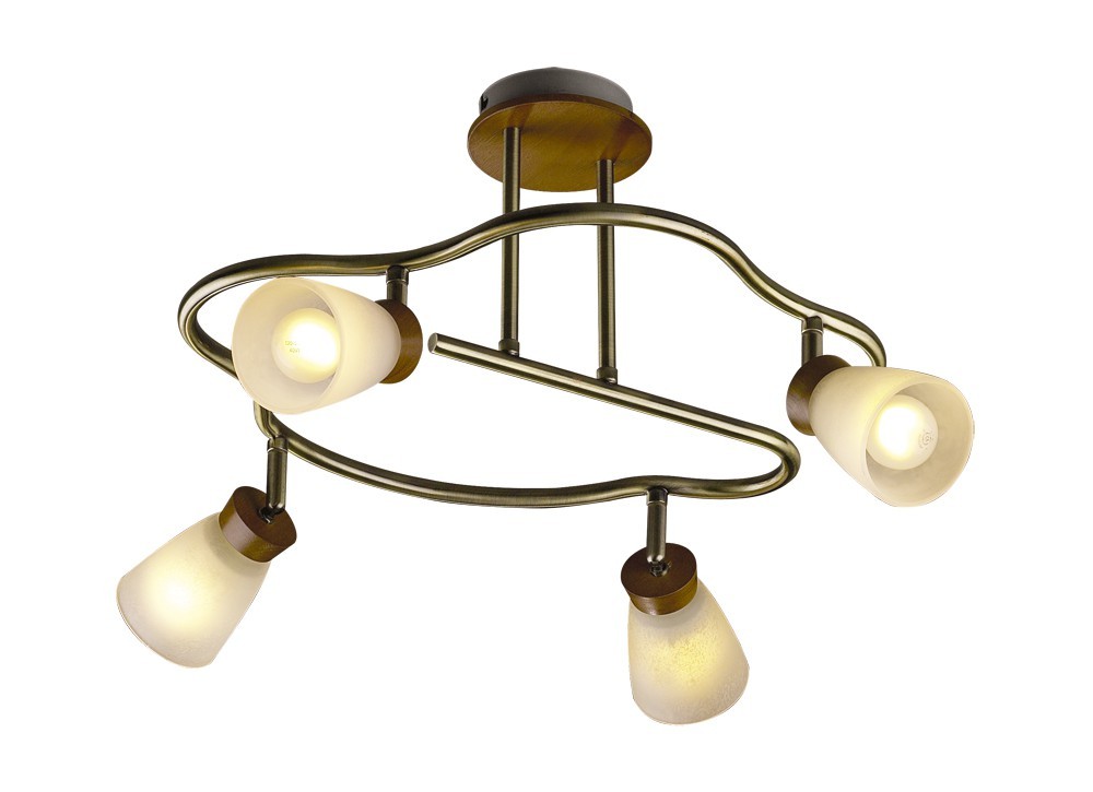 Потолочная люстра Odeon Light Tara 1971/4