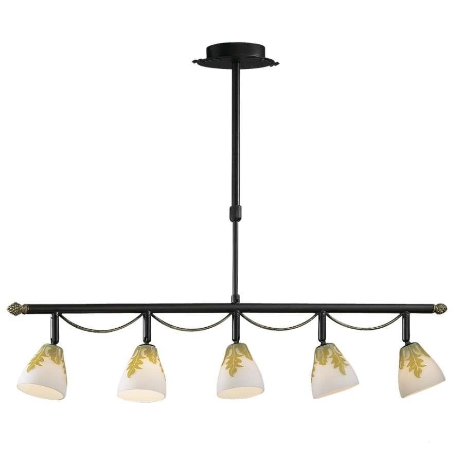 Потолочная люстра Odeon Light Canto 2146/5