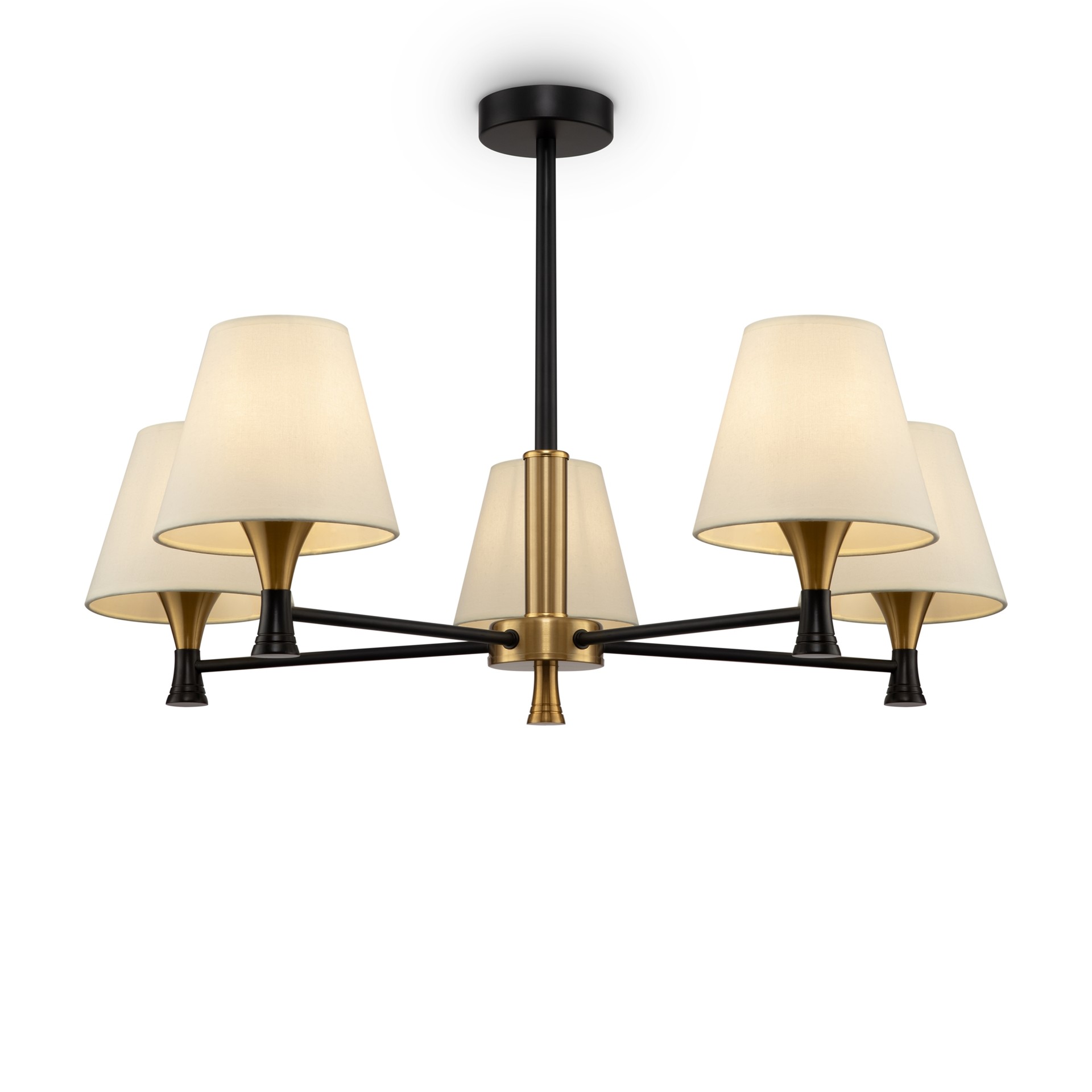 Потолочная люстра Freya Perfetto FR5098PL-05BBS