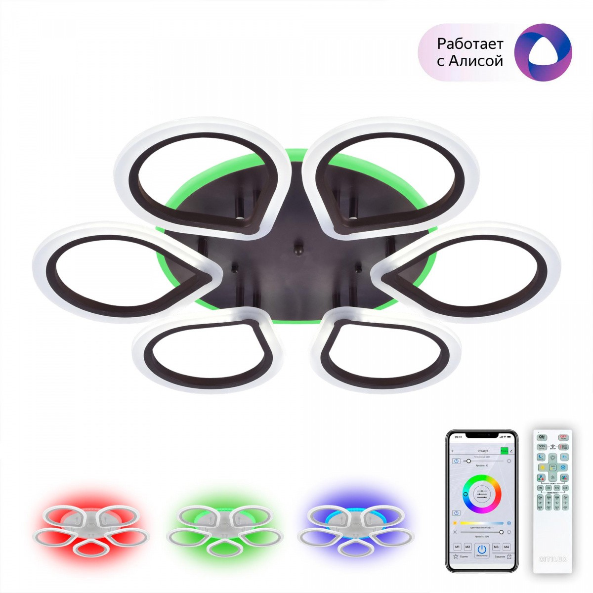 Потолочная люстра Citilux Транай CL235A165E