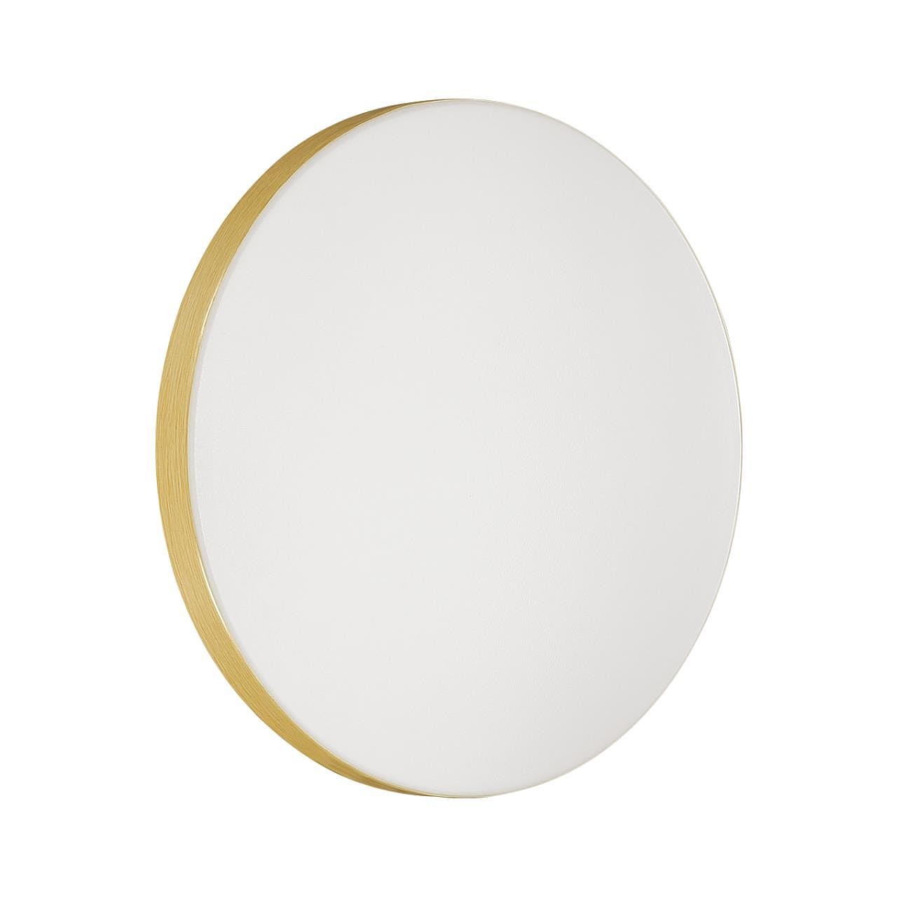 Настенно потолочный светильник Sonex Smalli 3066/CL