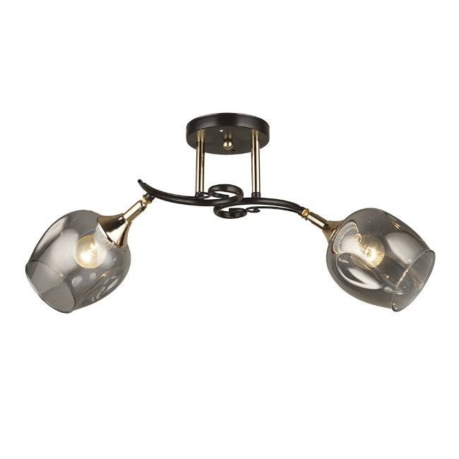 Потолочная люстра Wedo Light Alvi 66744.01.15.02