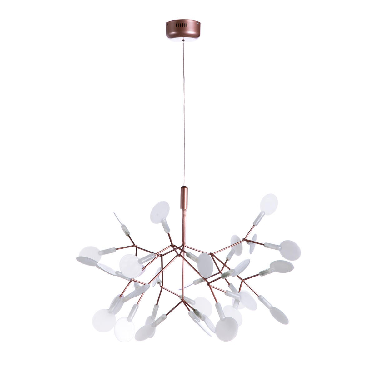 Подвесная люстра Loft It Heracleum 9022-27