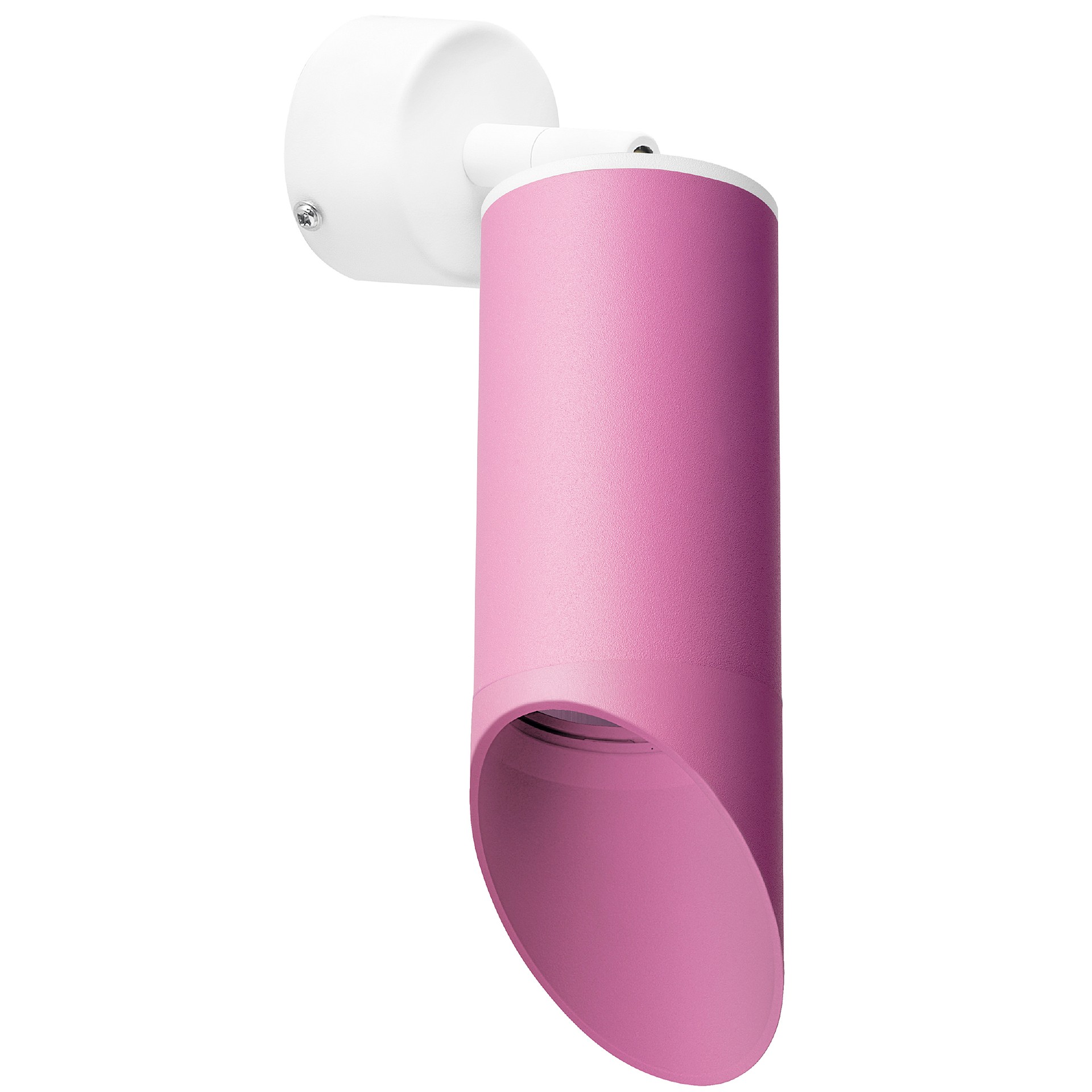 Светильник спот Lightstar Rullo RB43232