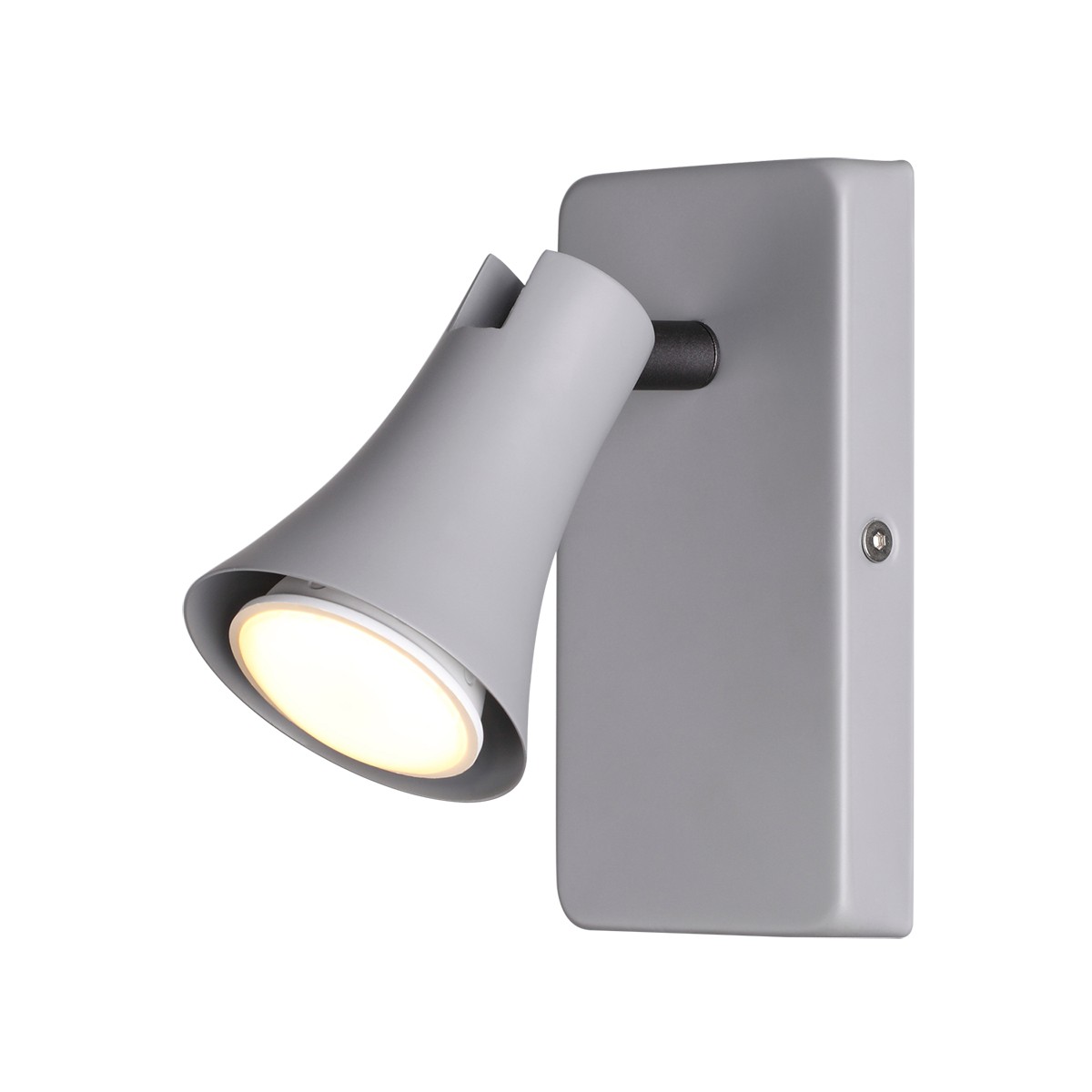 Светильник спот Odeon Light Reanna 3825/1W