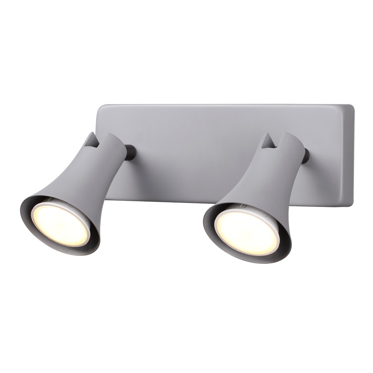 Светильник спот Odeon Light Reanna 3825/2W