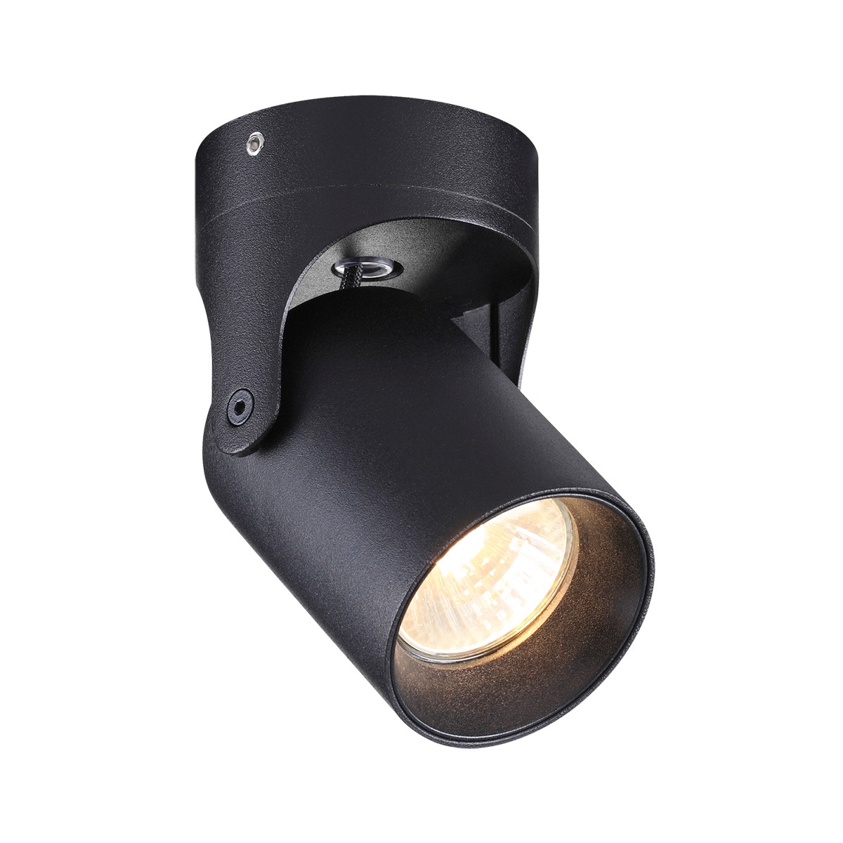 Светильник спот Odeon Light Corsus 3855/1C
