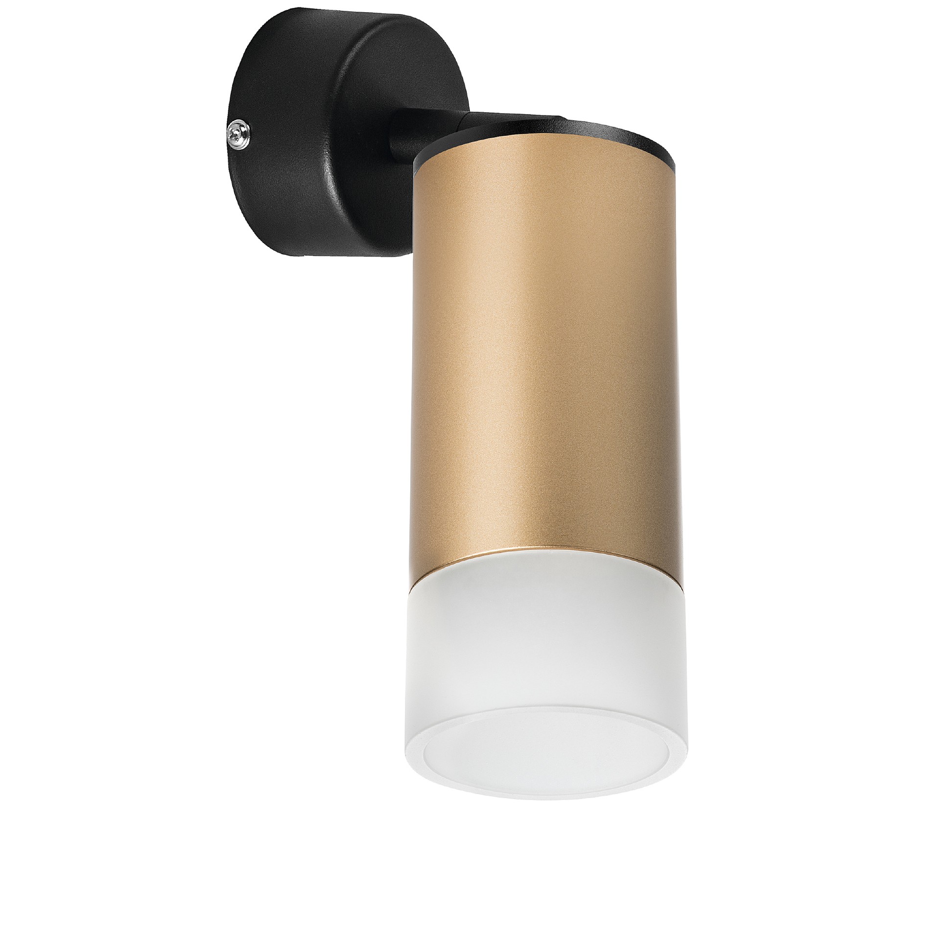 Светильник спот Lightstar Rullo RB44031