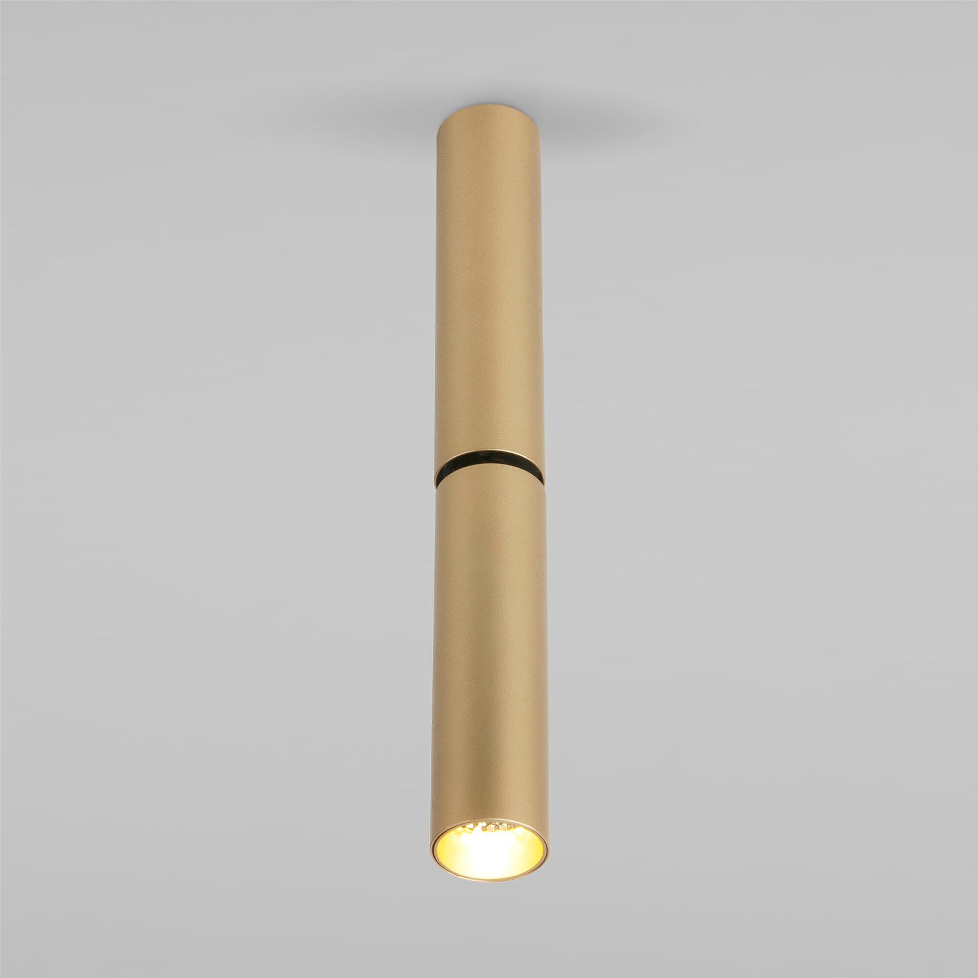 Накладной светильник Elektrostandard Pika Pika 6W (25029/LED) золото