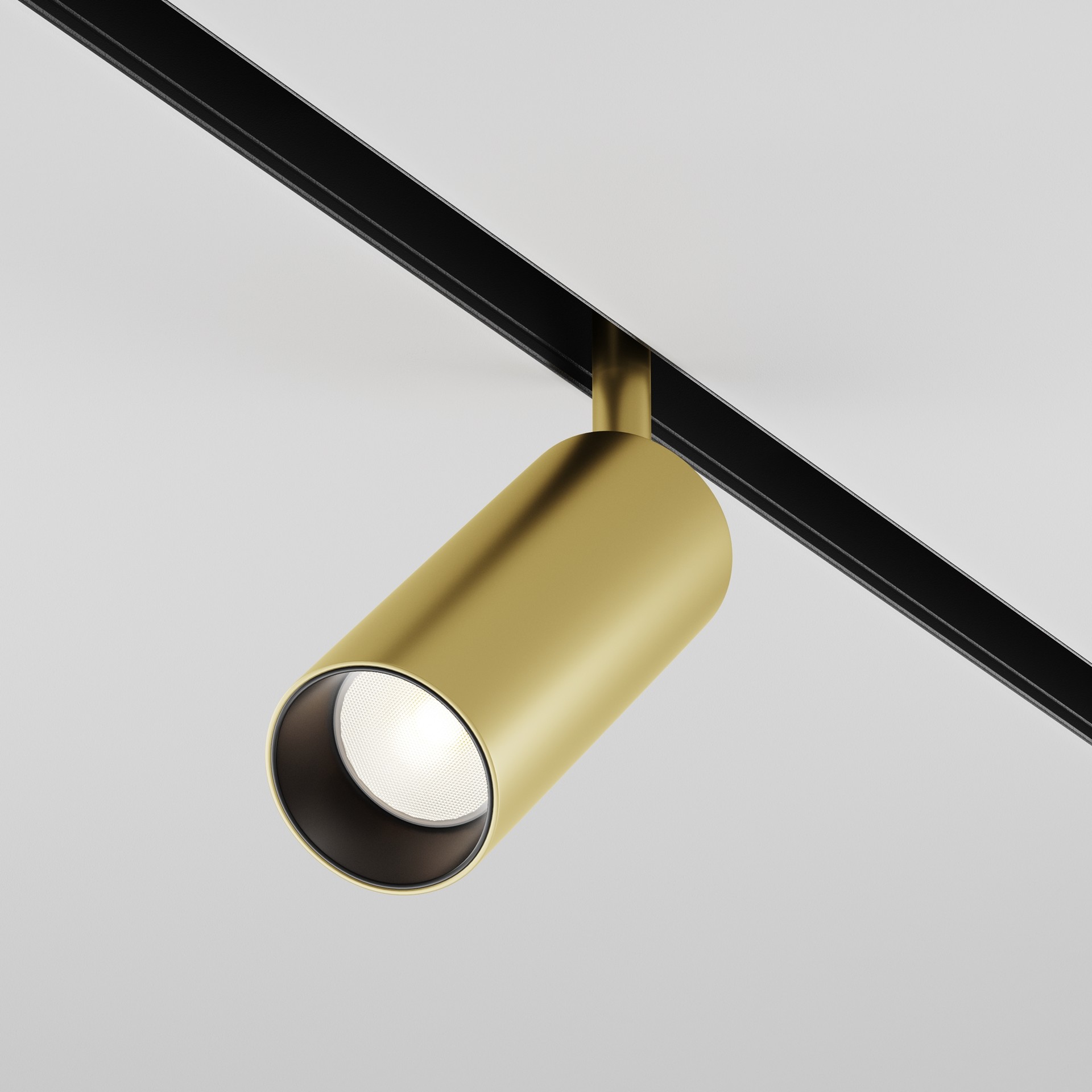 Трековый светильник Maytoni Focus LED Exility TR032-2-12W4K-S-MG