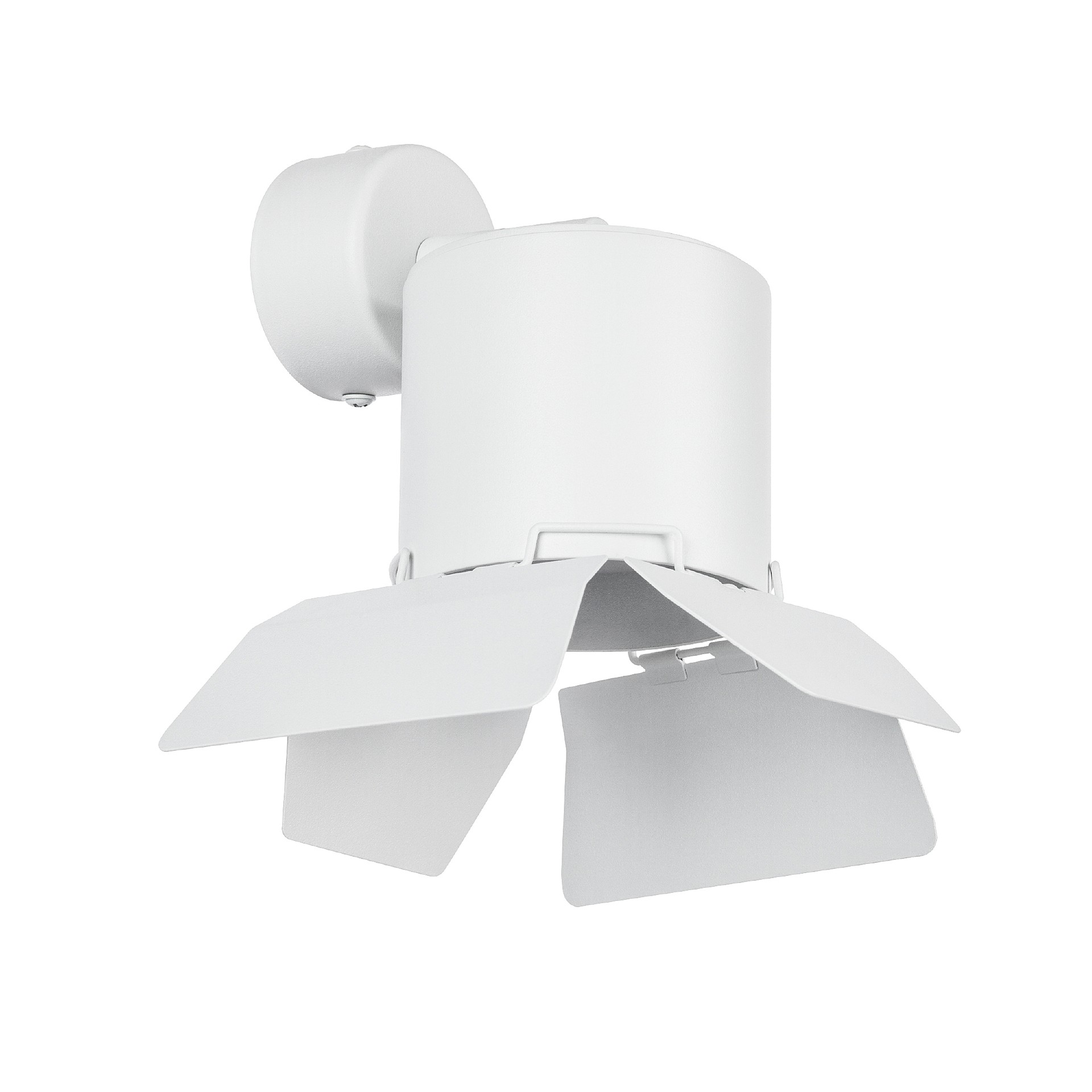 Светильник спот Lightstar Rullo RBX3486486