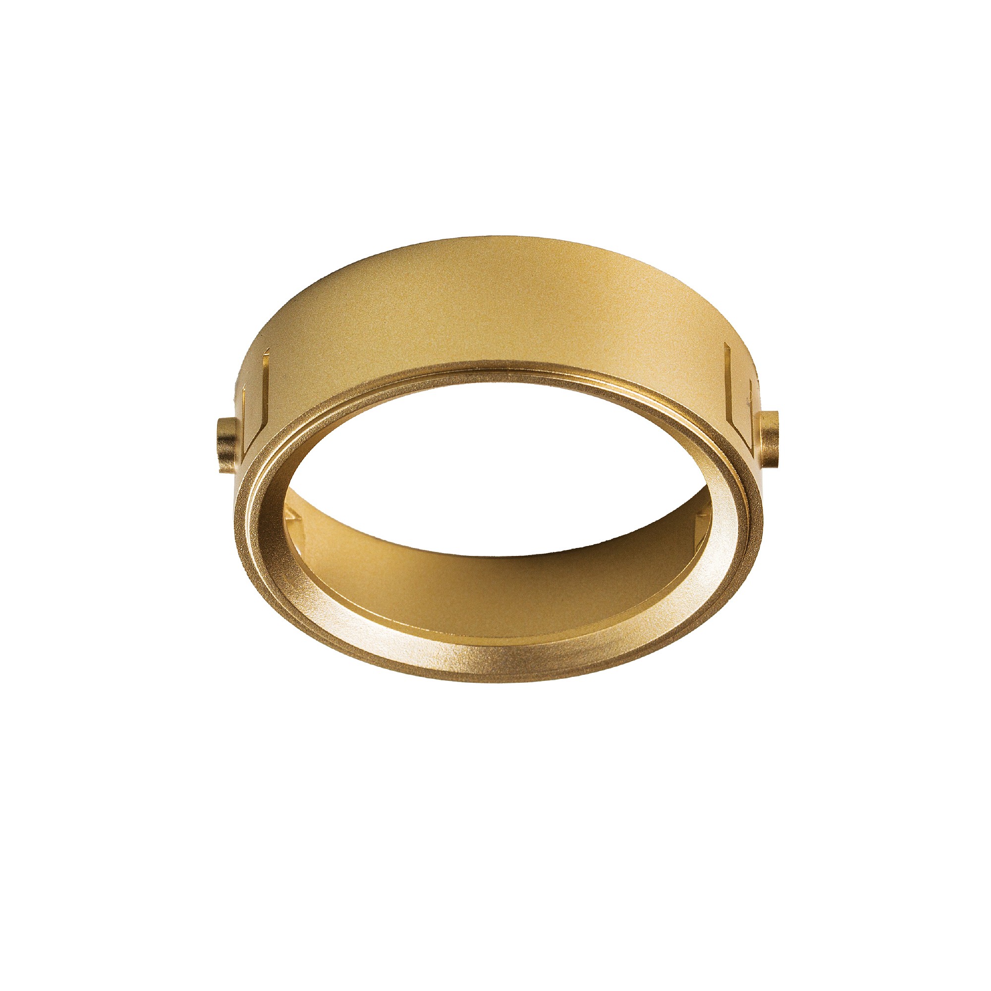 Кольцо фиксации лампы/LED модуля д/21450х-21460х Lightstar Domino 214003