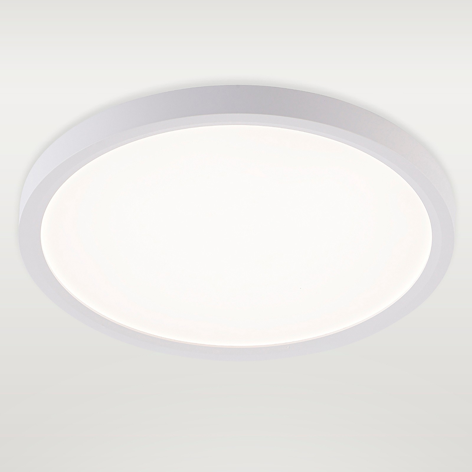 Светильник потолочный Natali Kovaltseva Plain LED LAMPS 81113/2C