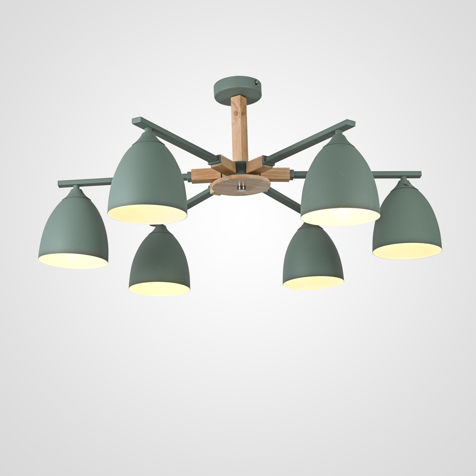 Потолочная люстра ImperiumLoft Noa01 183467-26