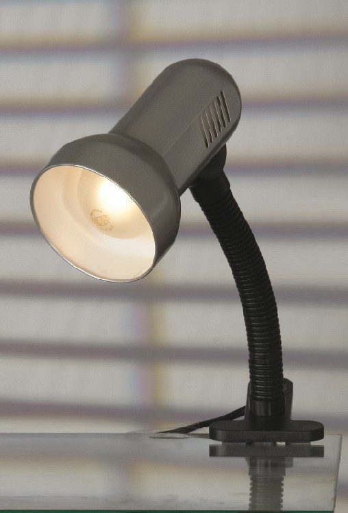 Лампа на прищепке, струбцине Lussole Sofia LST-4964-01