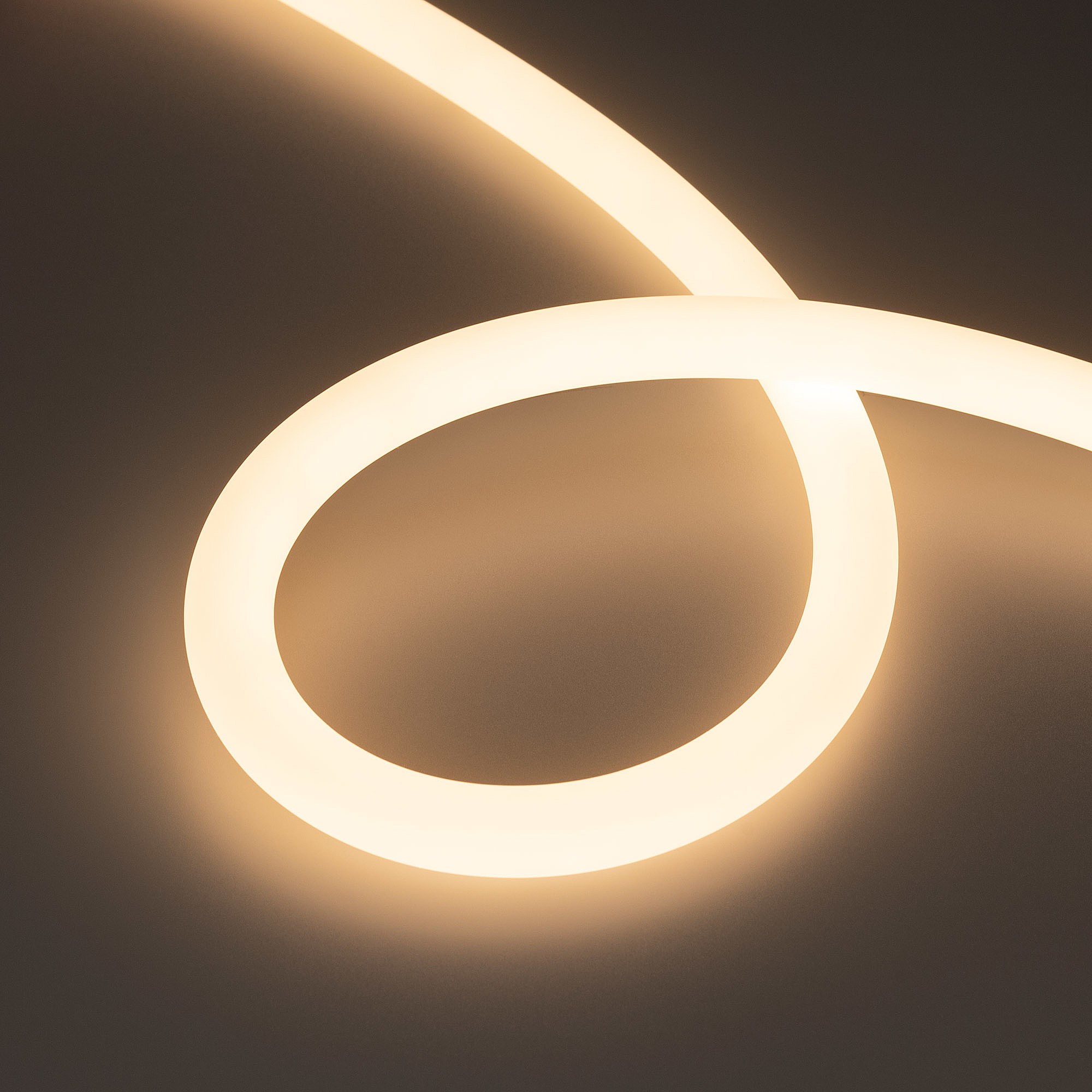 Светодиодный шнур Arlight Moonlight 031431