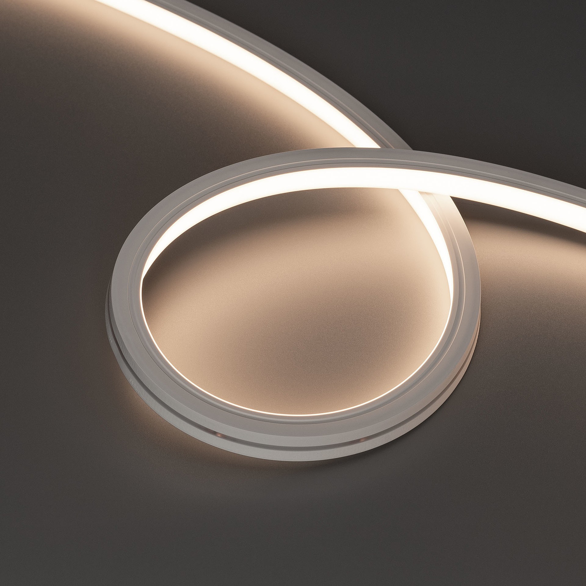 Светодиодный шнур Arlight Moonlight 038605