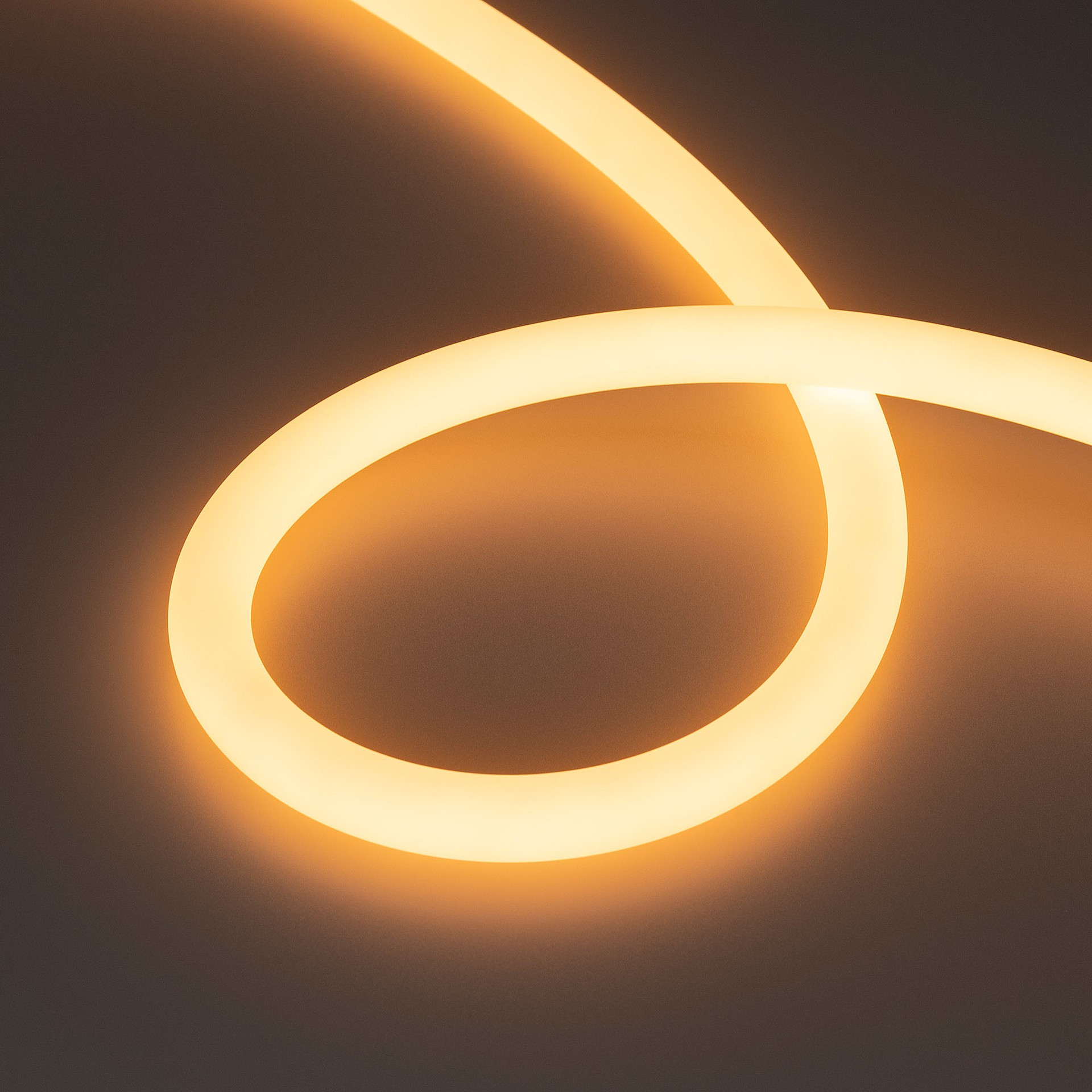 Светодиодный шнур Arlight Moonlight 038761