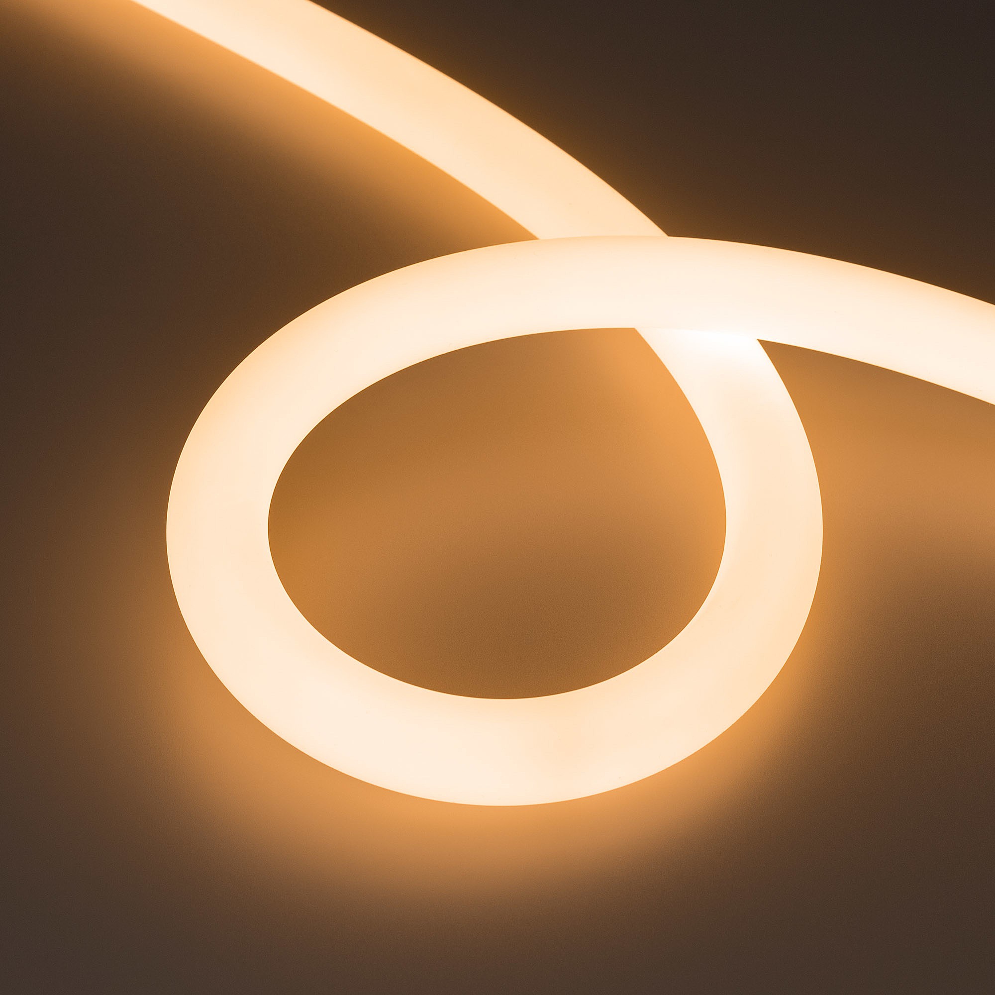 Светодиодный шнур Arlight Moonlight 038870