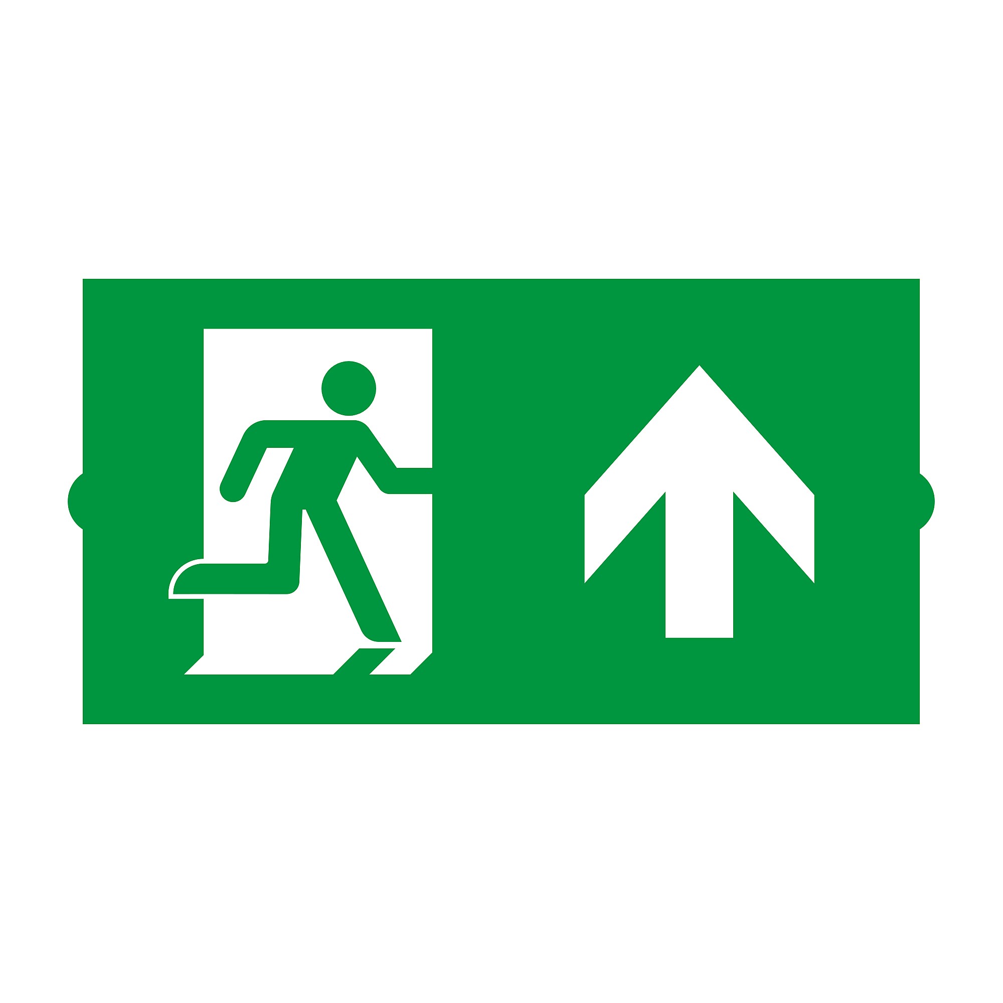 Сменная пиктограмма для аварийных панелей DIRECT Arlight Emg-Direct 046669