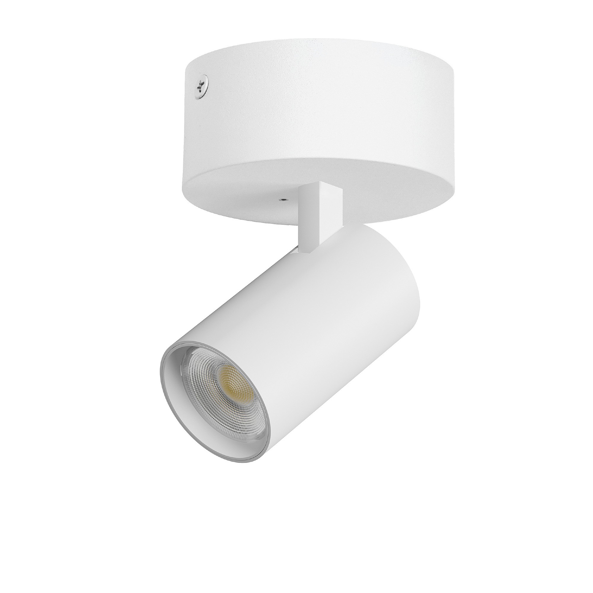 Светильник спот Lightstar Alta Base A5146SO