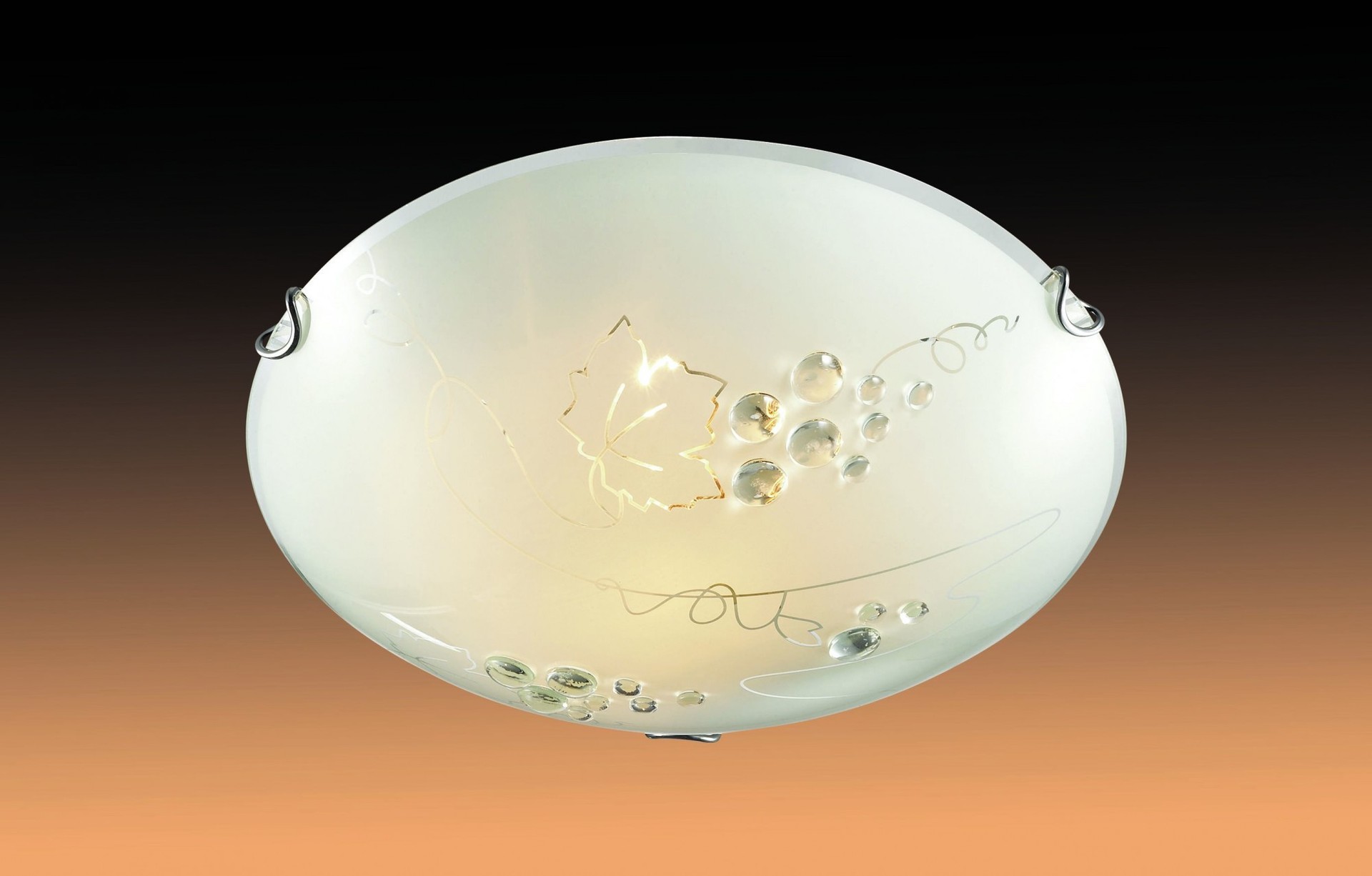 Настенно потолочный светильник Sonex TRAUBE 204