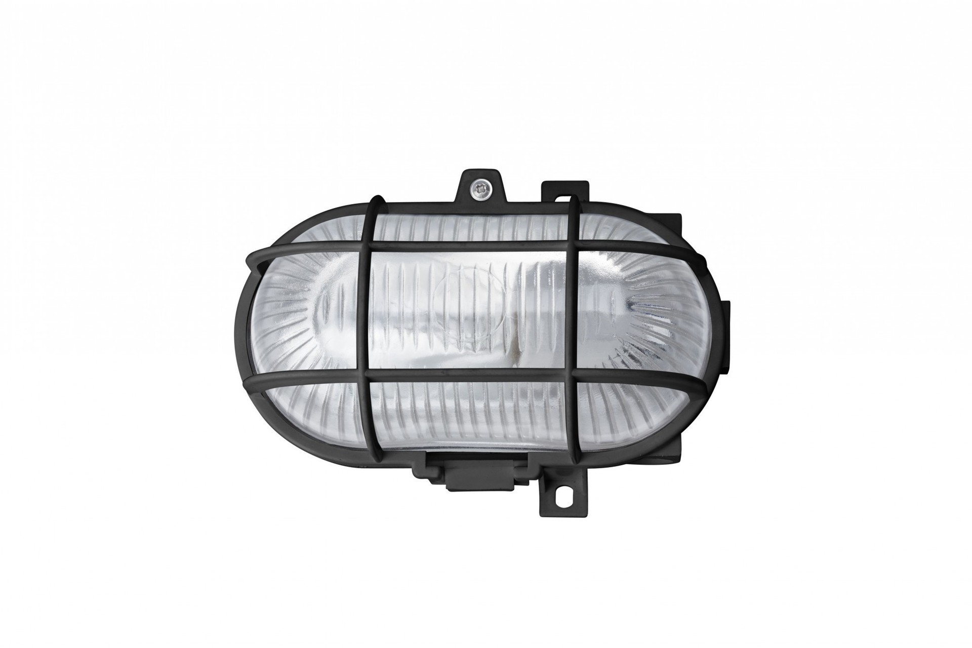 Уличный настенный светильник Brilliant ELTON 96184/06