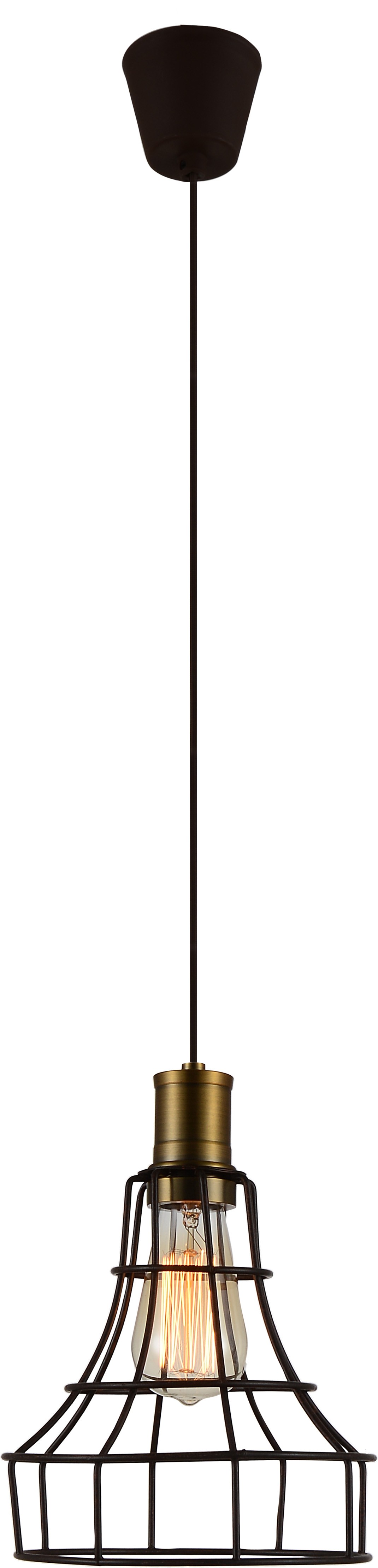 Светильник подвесной Favourite Dock 1595-1P