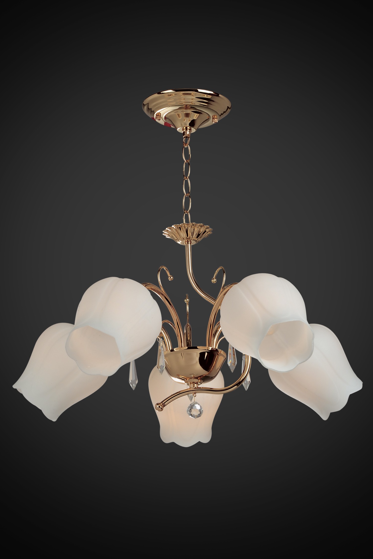 Подвесная люстра Максисвет 2-4654-5-FG E27