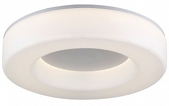 Светильник потолочный ST Luce Lordin SL886.512.01_LED
