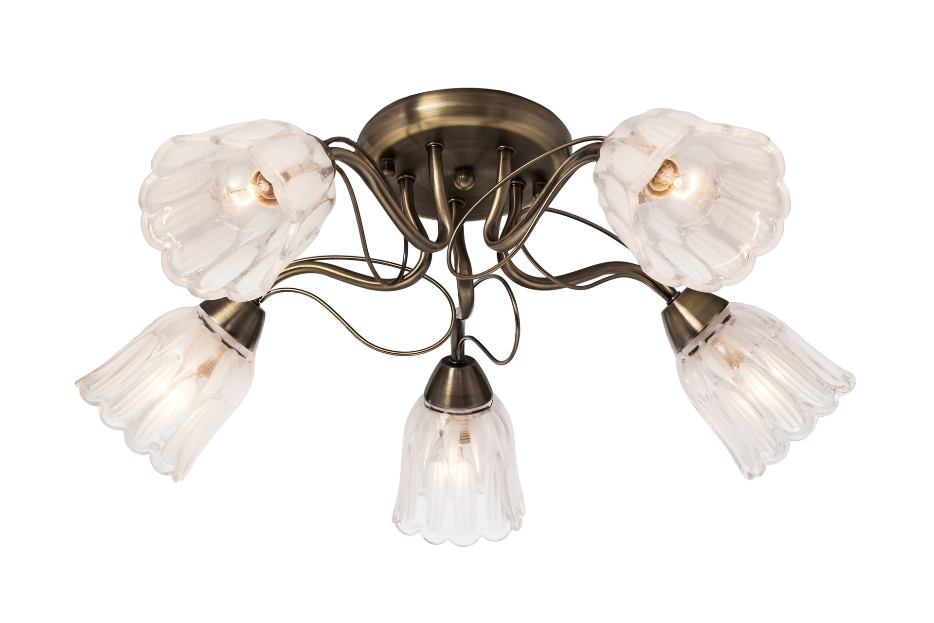 Потолочная люстра SilverLight Azalea 504.53.5