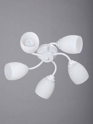 Потолочная люстра Vitaluce V3597 V3597/5PL