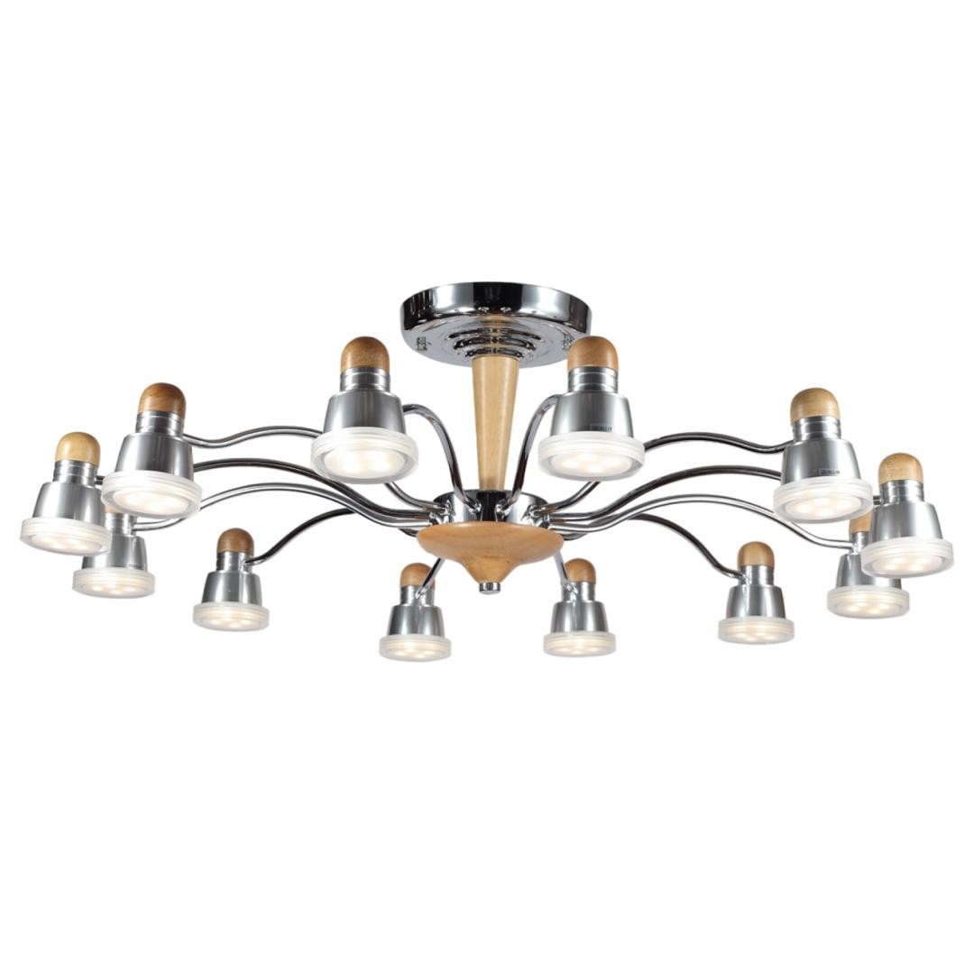 Потолочная светодиодная люстра Natura Lucia Tucci Natura 159.12