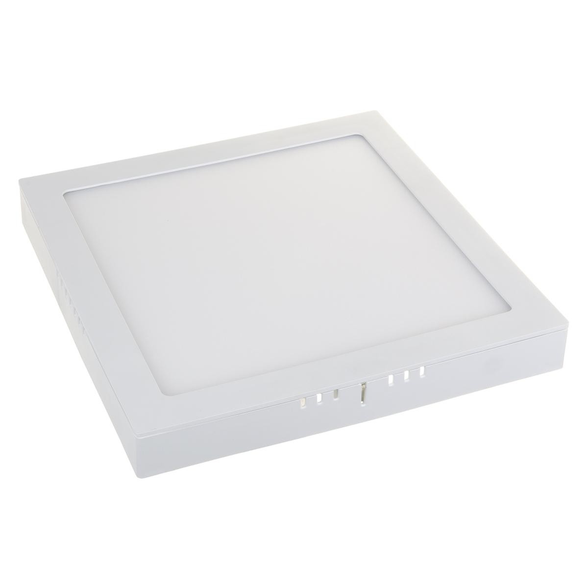 Светильник потолочный Elektrostandard DLS020 DLS020 24W 4200K