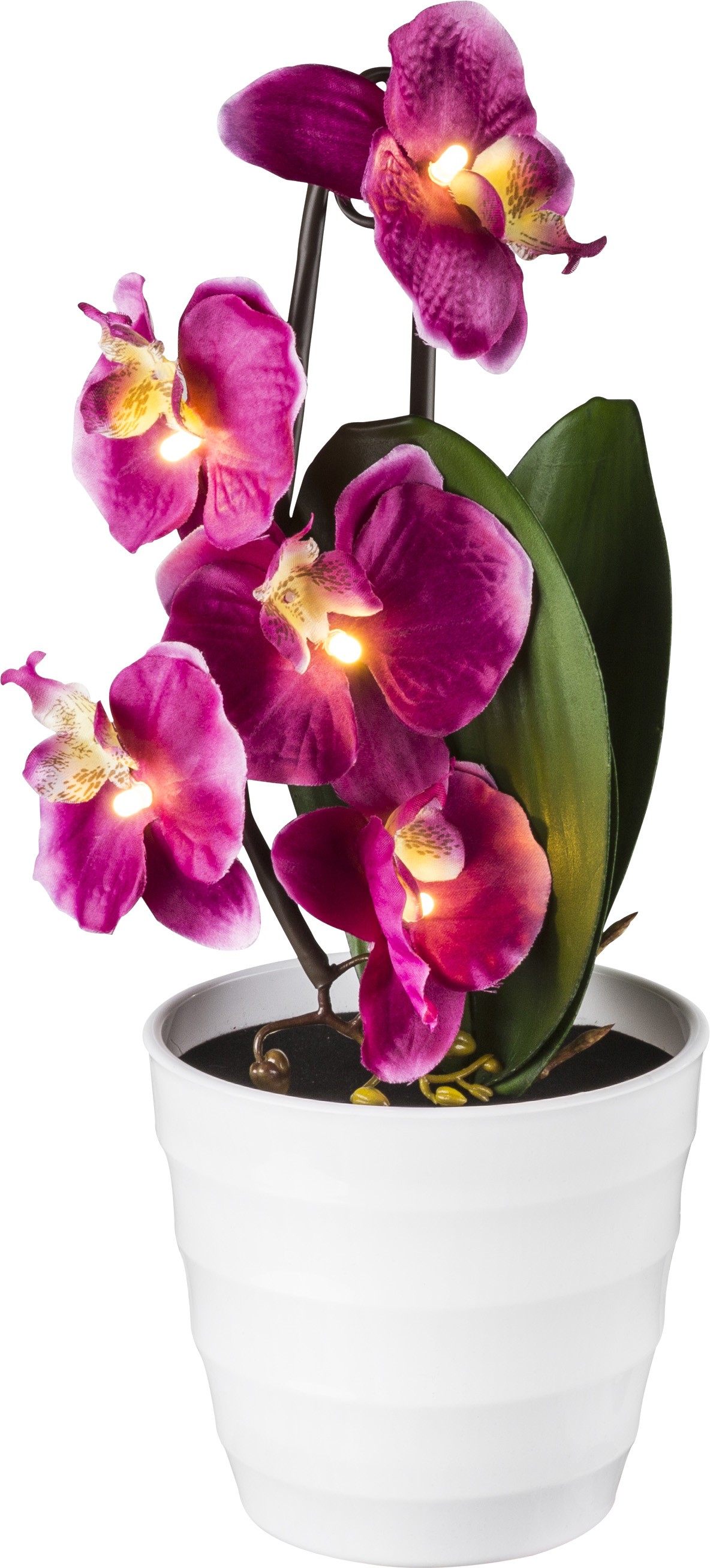 Декоративная лампа Globo Orphelia 28022P