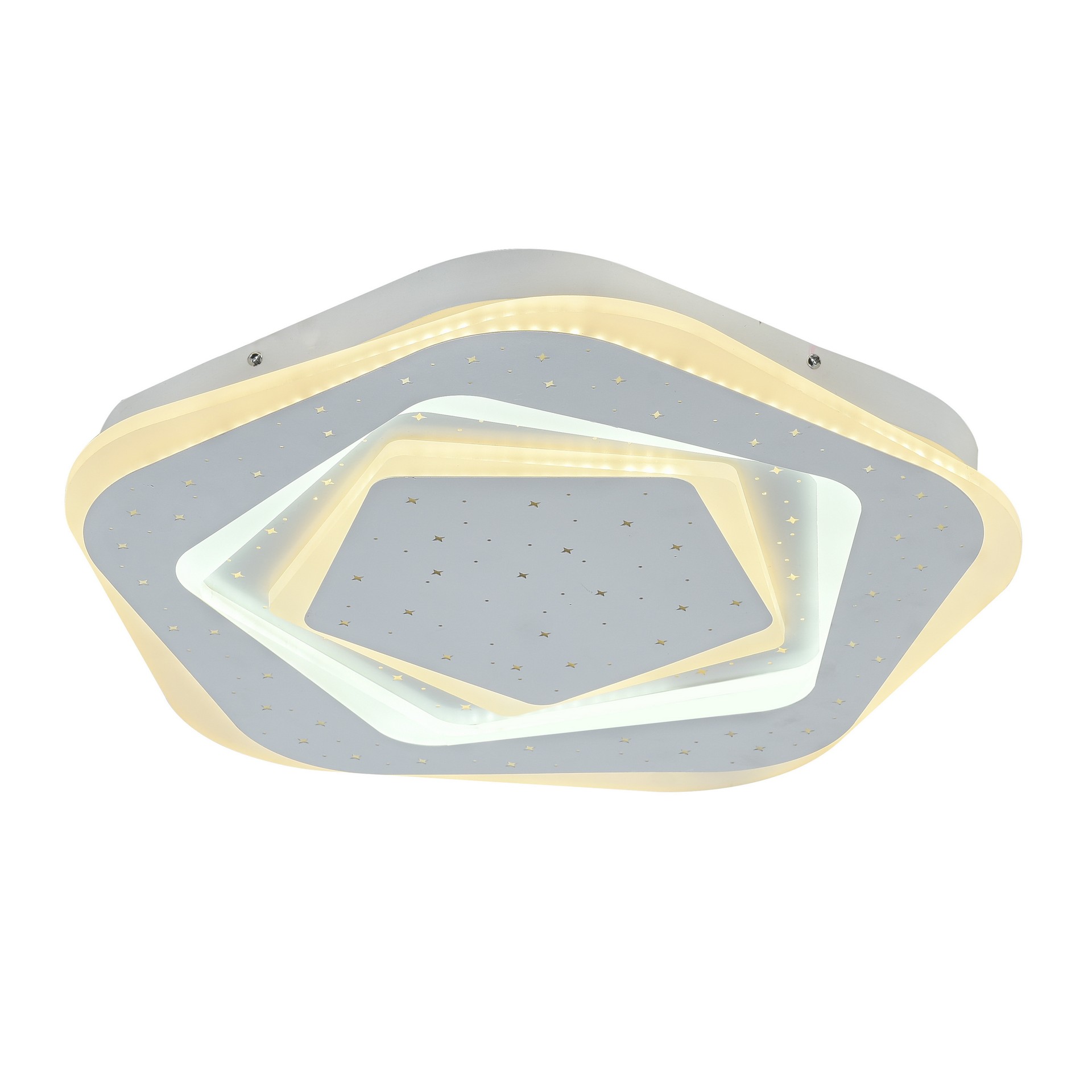 Потолочный светодиодный светильник F-Promo Ledolution 2281-5C