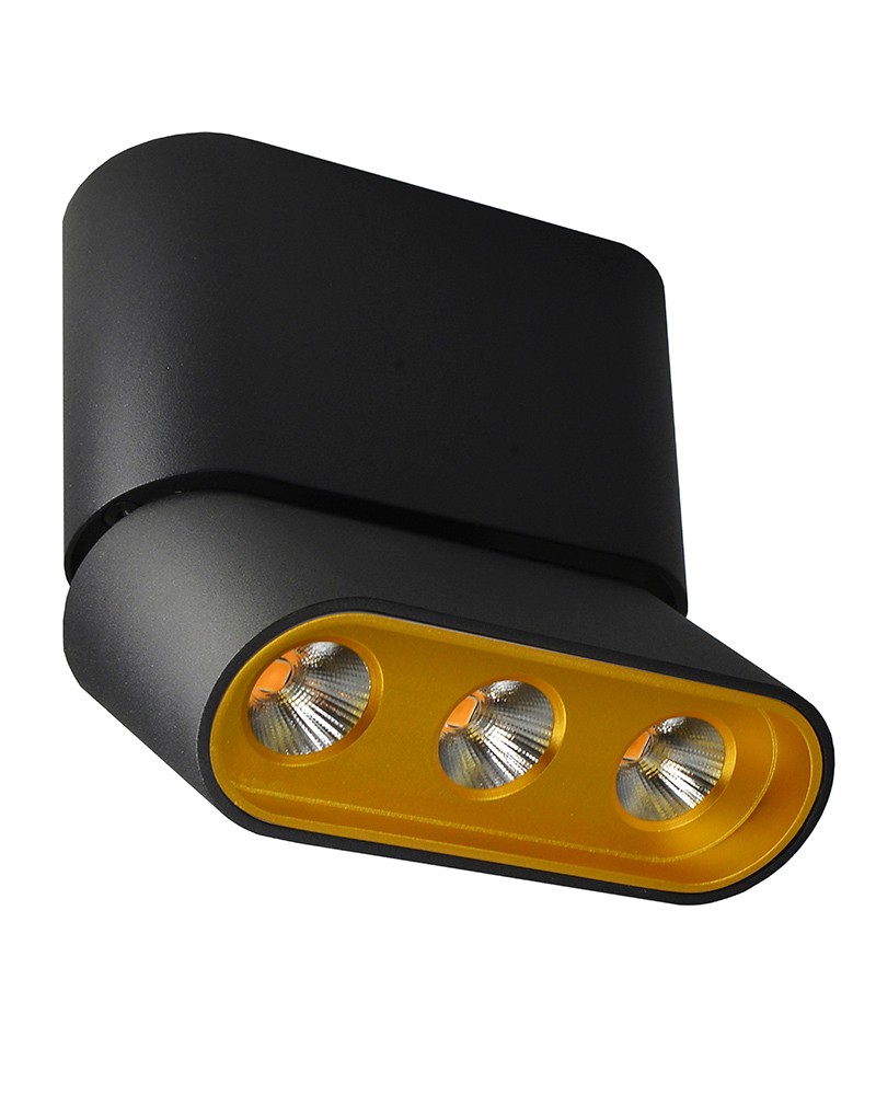 Накладной светильник Lumien Hall Фергус 8005/3CS-BK-GD