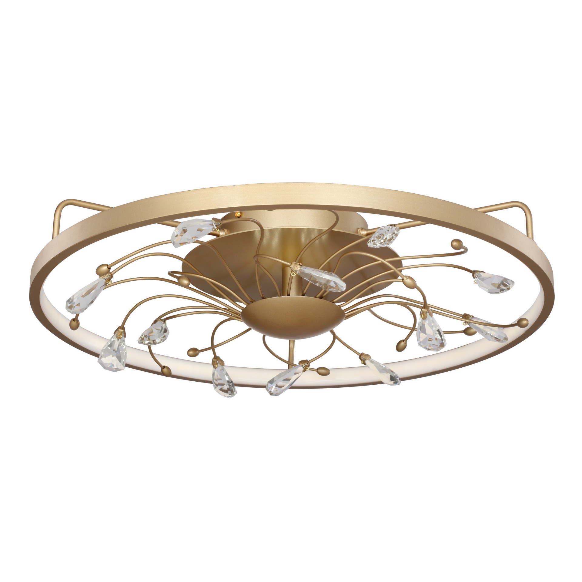 Потолочная светодиодная люстра Waltz Favourite 2534-5C