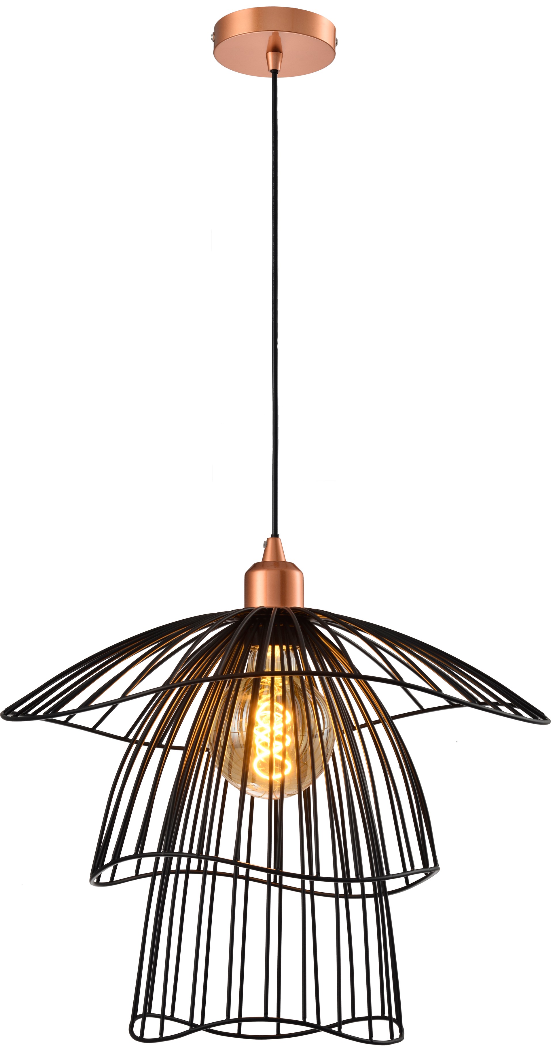 Светильник подвесной Toplight Phebe TL1192H-01BK